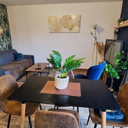 Colmar Chaleureux 5 Mn Du Centre T2 Apartman Kültér fotó