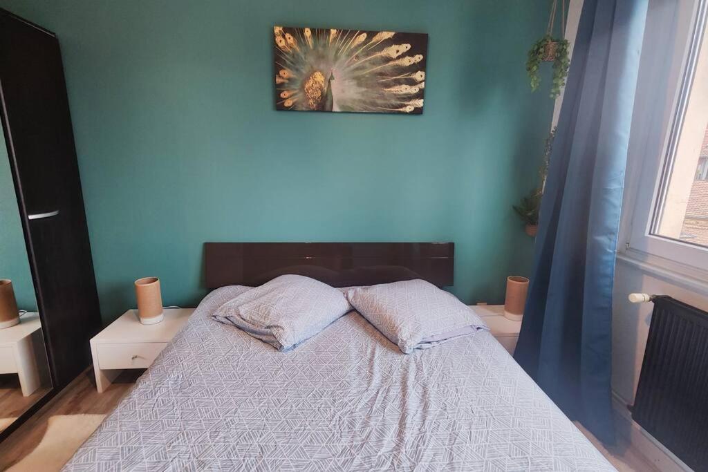 Colmar Chaleureux 5 Mn Du Centre T2 Apartman Kültér fotó