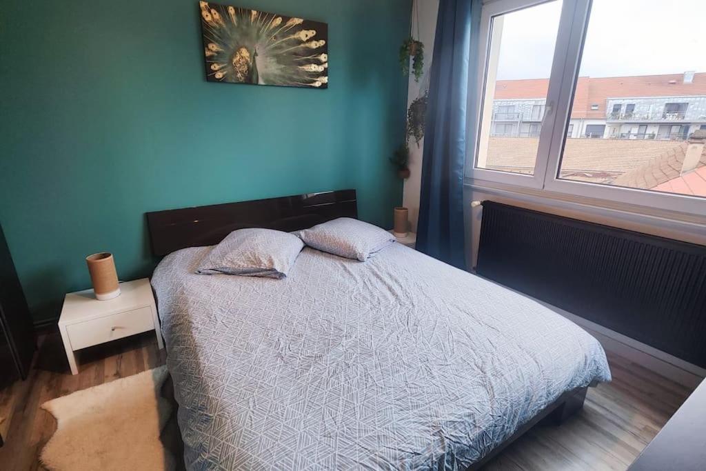 Colmar Chaleureux 5 Mn Du Centre T2 Apartman Kültér fotó