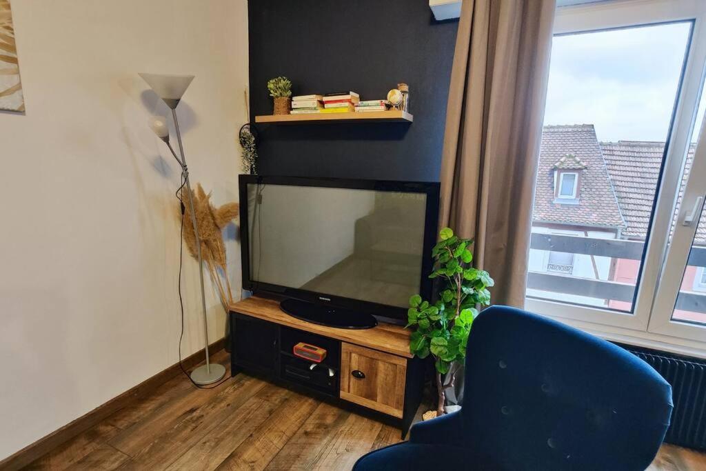 Colmar Chaleureux 5 Mn Du Centre T2 Apartman Kültér fotó